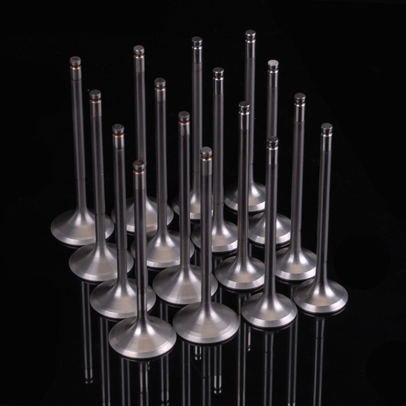 Skunk2 Ultra Series Valve Set (Stock Size, High Compression)
