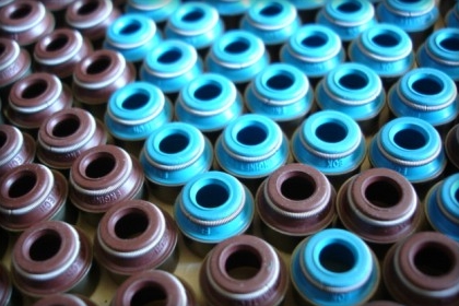 Supertech Intake Valve Seals (8)