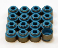 GSC B/H/K Series Viton 5.5mm Valve Seals: Set of 16
