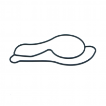 Honda 02-06 RSX Type S Water Pump Gasket Honda 02-06 RSX Type S Water Pump Gasket