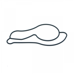 Honda 02-06 RSX Type S Water Pump Gasket