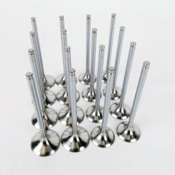 Skunk2 92-00 Civic Alpha Series Valves: Stock Size: Standard Compression