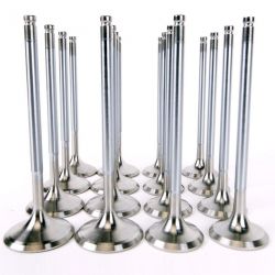 Skunk2 K Series Alpha Series Stock Size Standard Compression Valve Set