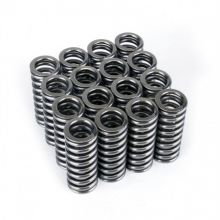 Skunk2 D-Series VTEC Alpha Valve Springs