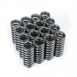Skunk2 D-Series VTEC Alpha Valve Springs