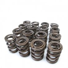 Skunk2 92-01 Prelude H-Series VTEC Alpha Valve Springs