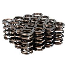Skunk2 02-06 RSX / 06-11 Civic Si Pro Series XP Valve Springs
