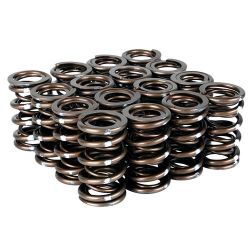Skunk2 02-06 RSX / 06-11 Civic Si Pro Series XP Valve Springs
