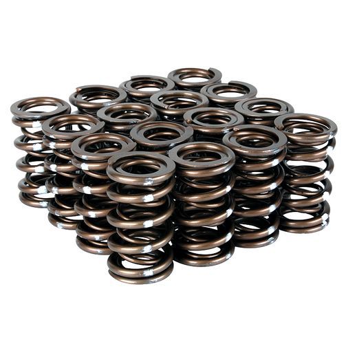 Skunk2 0206 RSX / 0611 Civic Si Pro Series XP Valve Springs K Series