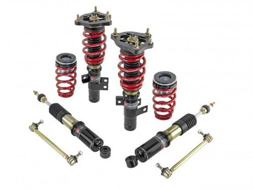 Skunk2 17-21 Civic Type R Pro ST Coilovers | 541-05-8781 | K