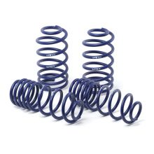 H&R 13-17 Accord 2.4L Lowering Springs