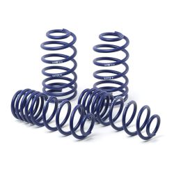 H&R 13-17 Accord 2.4L Lowering Springs