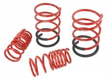 Skunk2 02-04 RSX Lowering Springs