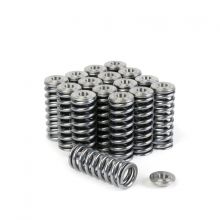 Skunk2 92-00 Civic D16 VTEC Alpha Valve Springs with Titanium Retainers
