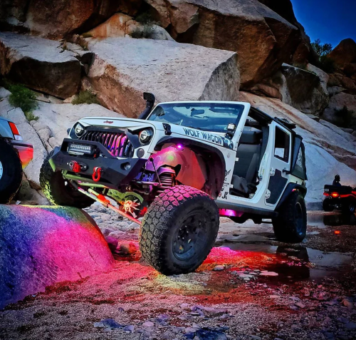 Oracle Lighting 4 Pack RF Underbody Rock Light ColorSHIFT