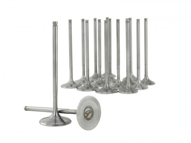 Skunk2 K Series +1mm Standard Comp Alpha Valves