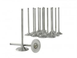 Skunk2 K Series +1mm Standard Comp Alpha Valves