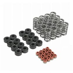 Skunk2 17-21 Civic Type R / 18-22 Accord 2.0L Ultra Valve Springs and Spring Base Kit