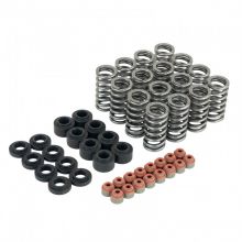 Skunk2 L15B7 16-23 Civic 1.5T Ultra Valve Springs and Spring Base Kit Skunk2 L15B7 16-23 Civic 1.5T Ultra Valve Springs and Spring Base Kit