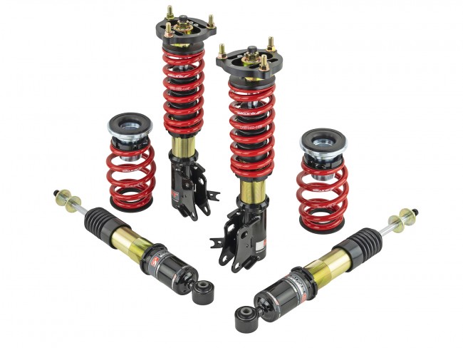 Skunk2 06-11 Civic Pro ST Coilovers