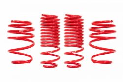 Eibach 17-21 Civic Type R Sportline Lowering Springs