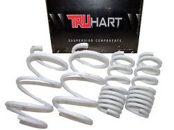 Truhart 01-05 Civic 2