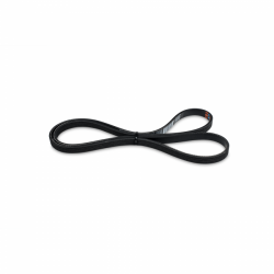 Kraftwerks 06-11 Civic Si Replacment Belt