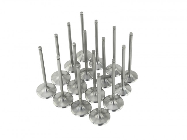 Skunk2 K Series Stock Size Standard Compression Ultra Series Valves