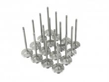 Skunk2 K Series Stock Size Standard Compression Ultra Series Valves