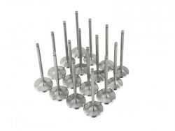 Skunk2 K Series Stock Size Standard Compression Ultra Series Valves