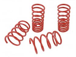 Skunk2 13-16 FRS / 13-20 BRZ Lowering Springs