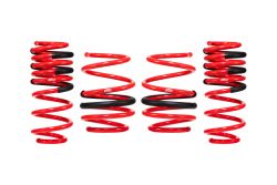 Eibach 22-23 Civic Type R Sportline Lowering Springs