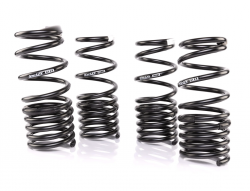 Swift Springs 00-09 S2000 Spec-R Lowering Springs