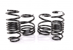 Swift Springs 17-21 Civic Type R Spec-R Lowering Springs