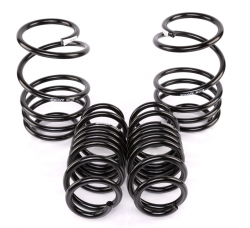 Swift Springs 17-21 Civic Si/Sport Spec-R Lowering Springs