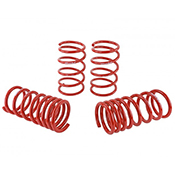 Skunk2 Lowering Springs