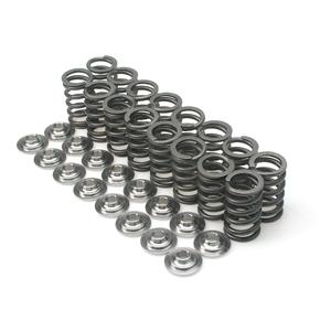 Brian Crower D16Y8/D16Z6 Single Valve Springs