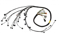 Rywire K-Series Mil-Spec Harness for Haltech Elite 1500