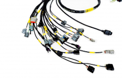 Rywire K-Series FuelTech 550 Engine Harness