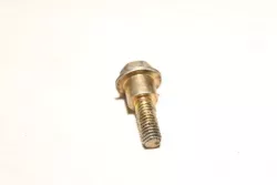 Honda Thermostat Case Bolt