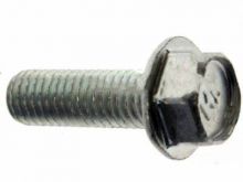 Honda 8x25 Flange Bolt