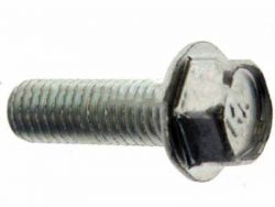Honda 8x25 Flange Bolt