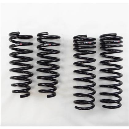 RS-R 11-14 TSX Wagon Lowering Springs