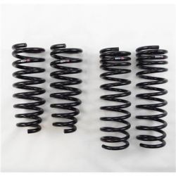 RS-R 11-14 TSX Wagon Lowering Springs