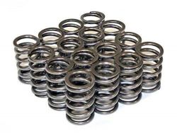 Brian Crower Honda/Acura B18C/B16A/B17A Dual Valve Springs
