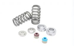 Kelford Cams 17-25 Civic Type R/18-22 Accord 2.0L Beehive Valve Springs and Titanium Retainers