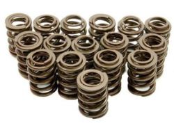 Brian Crower Honda/Acura K20A2/K20A/K24A2/F20C1/F22C1 Dual Valve Springs