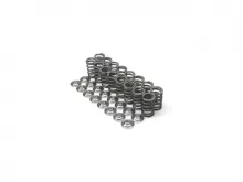 Brian Crower K20A3/K24A Single Valve Springs