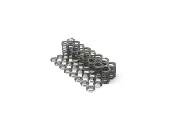 Brian Crower K20A3/K24A Single Valve Springs