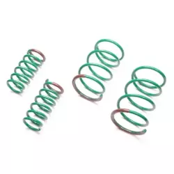 Tein 01-05 Civic S-Tech Lowering Springs